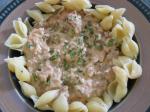American Thick and Creamy One Pot Beef Stroganoff Appetizer