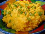 Canadian Mixed Mashed Potatoes With Scallions Appetizer