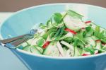 Canadian Cucumber Radish And Snow Pea Salad Recipe Appetizer