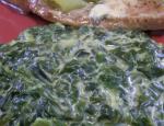 American Low Carb Creamy Spinach Appetizer