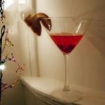 American Pomegranate Martini Ii Recipe Appetizer
