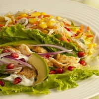 Australian Haddock Wraps With Crunchy Southwestern Salad Appetizer