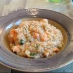 American Risotto of Shrimp with Courgette Appetizer