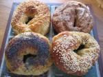 American Basic Bagel for the Bread Machine Appetizer