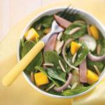 American Tropical Spinach and Ham Salad Appetizer