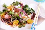 American Roast Beef And Rice Noodle Salad Recipe Appetizer