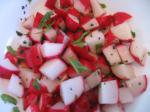 Mexican Radish Mint Salad 1 Appetizer
