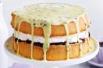 American Perfect Sponge Cake Recipe Dessert