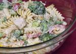 American Quick and Easy Garden Chicken Pasta Salad Appetizer