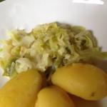 American Pointed Cabbage in Cream Sauce Appetizer