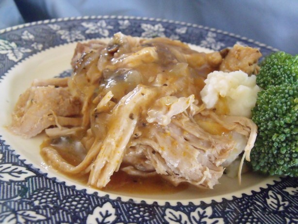 American Easy Crock Pot Pork Tenderloin Roast Dinner