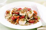 American Lentil And Haloumi Salad Recipe Appetizer