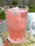American Iced Rhubarb Tea Appetizer