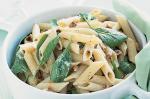 American Creamy Penne With Spinach Recipe Dinner