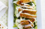 Japanese Crumbed Pork And Apple Salad Recipe Appetizer