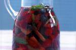 British Summer Fruit Punch Recipe Appetizer