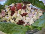 American Waldorf Salad With Tart Cherries Grapes and Candied Pecans Appetizer
