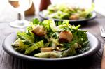 American Parsley and Romaine Salad Recipe Appetizer