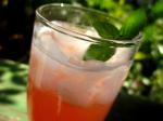 American Tropical Fruit Punch  Alcoholic Appetizer