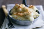 American Gnocchi And Three Cheese Bake Recipe Appetizer