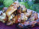 American Australian Beerbarbecued Wings Appetizer