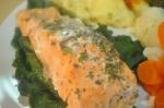 American Lemon Herb Salmon 1 Appetizer