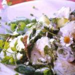 Chicken Salad with Cucumber and Watercress 5 recipe