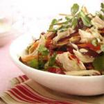 American Spicy Chicken Salad with Lemon Appetizer