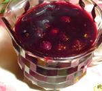 American Blueberry Coulis Appetizer