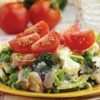 Dutch Hearty Vegetable Salad Appetizer