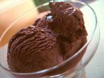 American Ben  Jerrys Chocolate Ice Cream Dessert