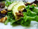 American Avocado Lettuce and Walnut Salad With Honey Dressing Dessert