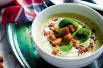 American Bubble and Squeak Soup Recipe Appetizer