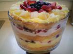 American Fruity Angel Food Cake Trifle Dessert