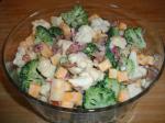 American Broccoli Cauliflower Bacon Salad Appetizer