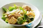 Thai Very Green Vegetable Curry Recipe Dinner
