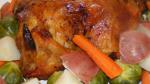 Mexican Simple Whole Roasted Chicken Recipe BBQ Grill