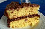 American Homemade Yellow Cake and Variations Dessert