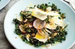 American Kale Fennel And Radish Salad With Ricotta Salata Recipe Appetizer