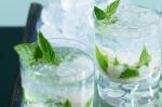 American Lychee and Mint Fizz Recipe Appetizer