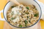 American Mushroom And Spinach Risotto Recipe Appetizer