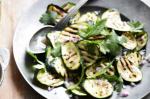 American Grilled Zucchini And Coriander Salad Recipe Appetizer