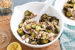 American Roasted Broccoli Salad With Brown Rice And Quinoa Recipe Appetizer