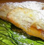 American Easy Apricot Turnovers Appetizer
