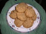 American Oatmeal Pudding Cookies 4 Dessert