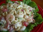 American Shrimp Macaroni Salad 4 Dinner
