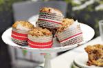 American Cranberry Spiced Muffins Recipe Dessert