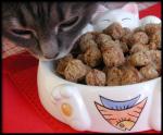 American Tabby Tuna Cakes for Kitty Dinner