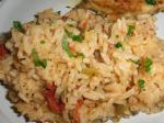 American Cajun Creole Style Rice Appetizer