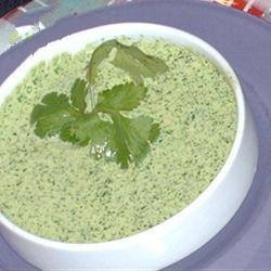 Chinese Sauce with Cilantro Appetizer